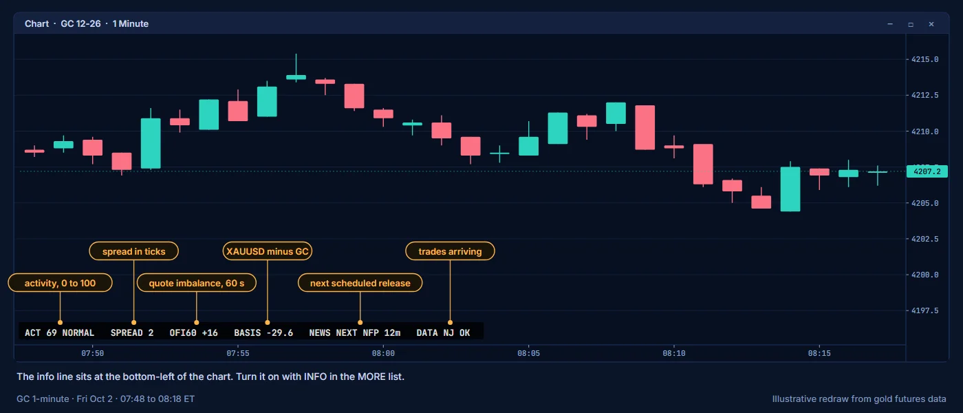 The info line at the bottom of a GC chart