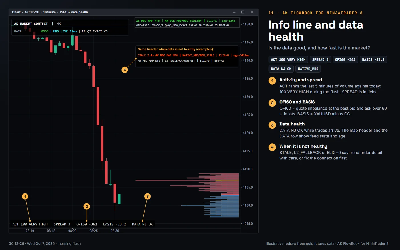 Info line and data health: AK FlowBook for NinjaTrader 8, real gold futures example